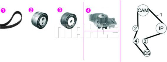 Wilmink Group WG2182140 - Водяной насос + комплект зубчатого ремня ГРМ unicars.by