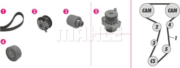 Wilmink Group WG2182114 - Водяной насос + комплект зубчатого ремня ГРМ unicars.by