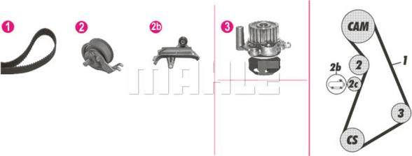 Wilmink Group WG2182225 - Водяной насос + комплект зубчатого ремня ГРМ unicars.by