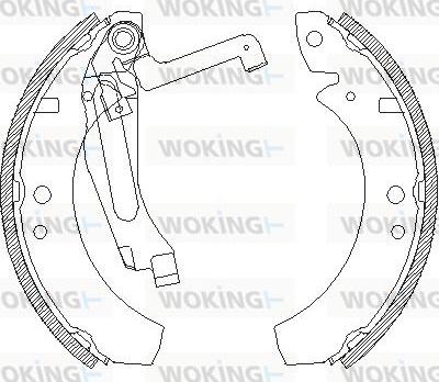 Woking Z4691.00 - Тормозные башмаки, барабанные unicars.by