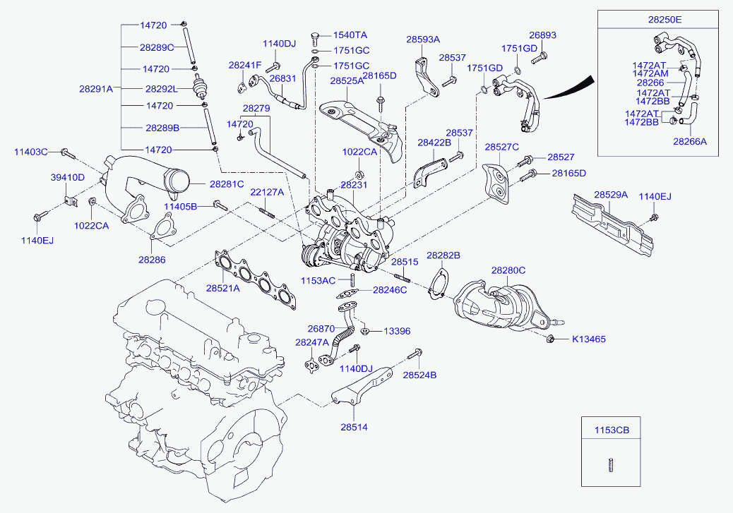 KIA 1022608007K - Гайка, выпускной коллектор unicars.by