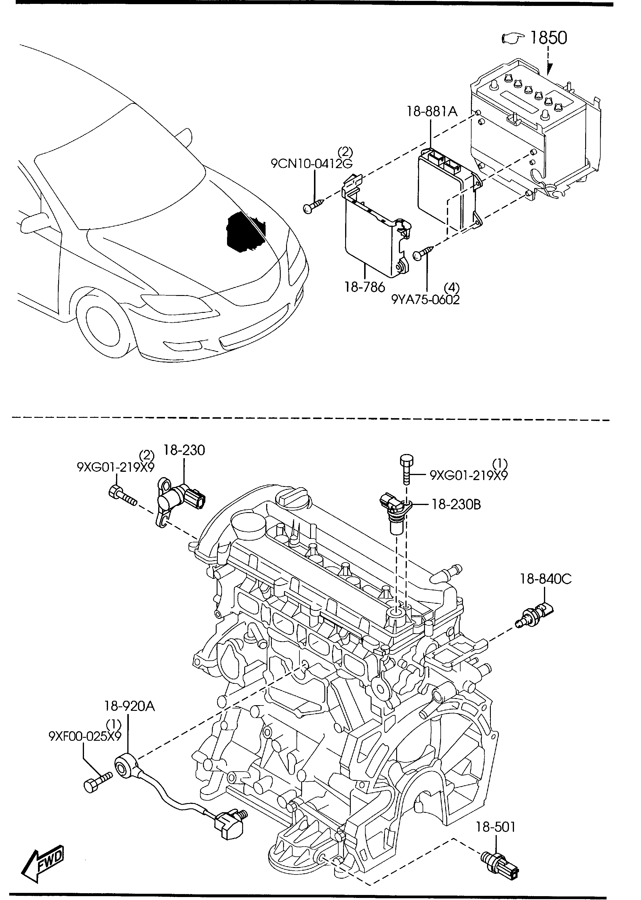 MAZDA 99562-1000 - Уплотнительное кольцо, резьбовая пробка маслосливного отверстия unicars.by