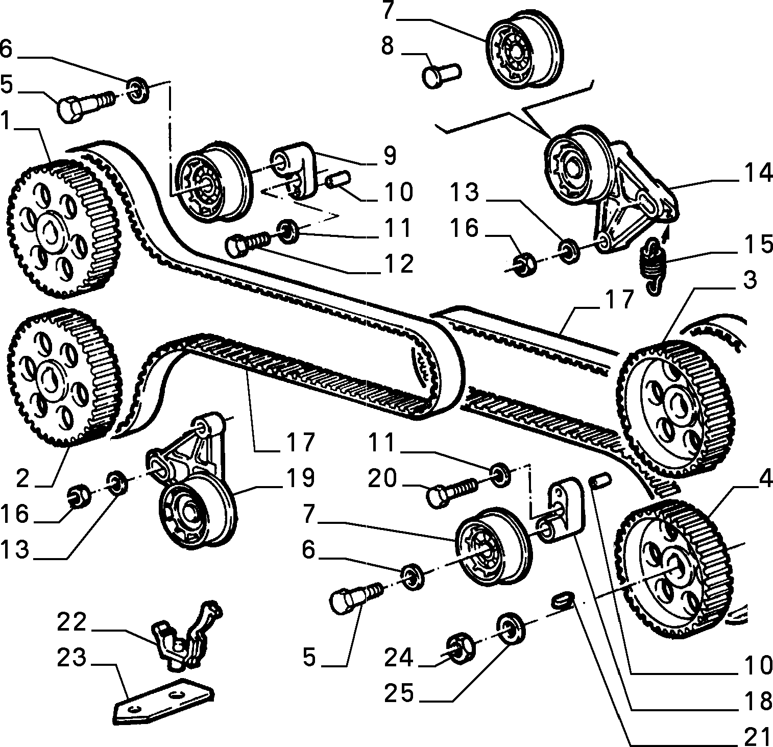 FIAT 60556211 - Зубчатый ремень ГРМ unicars.by