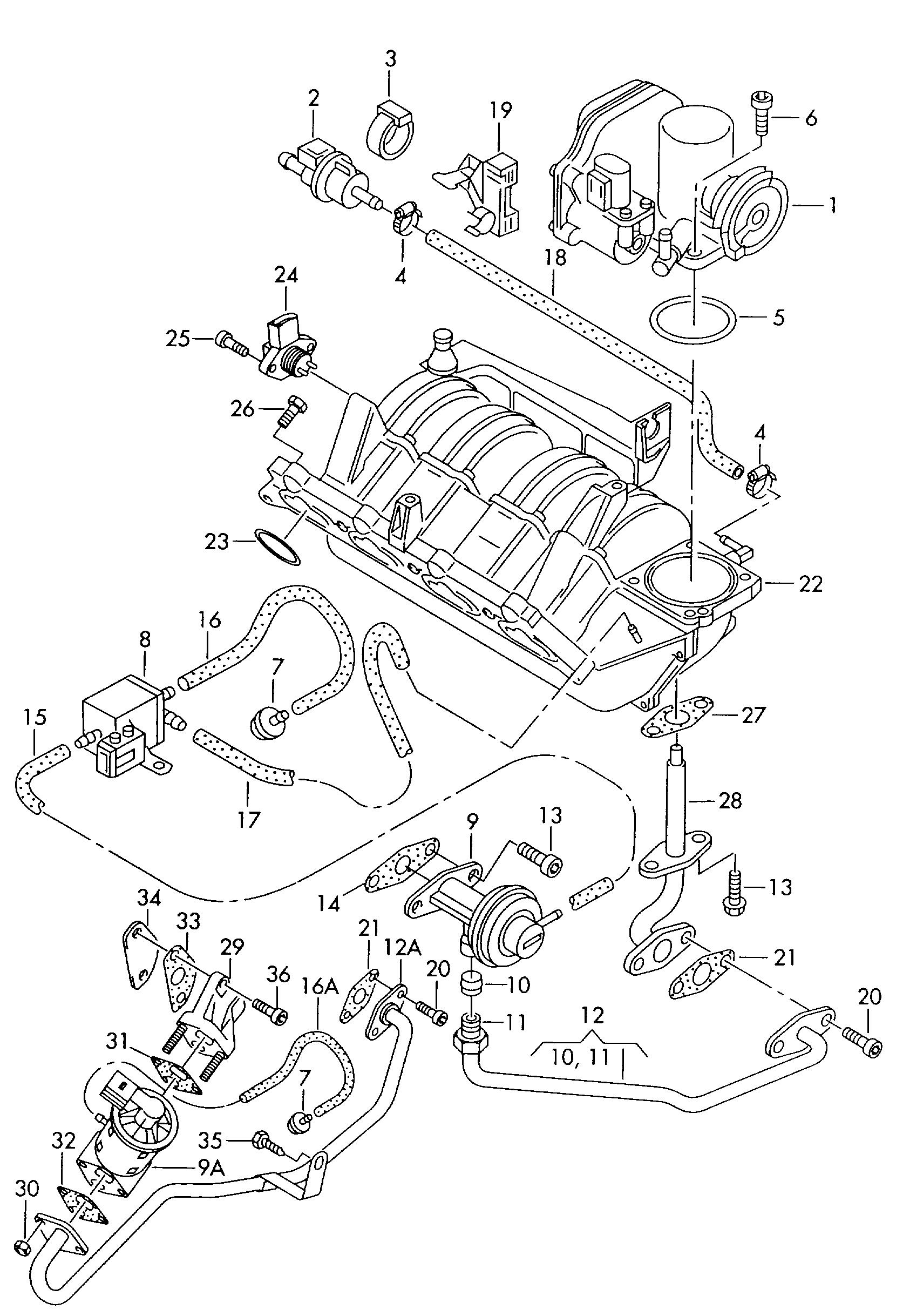 Seat 036131503M - Клапан возврата ОГ unicars.by